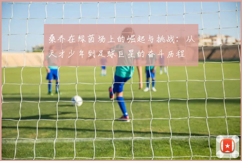 桑乔在绿茵场上的崛起与挑战：从天才少年到足球巨星的奋斗历程