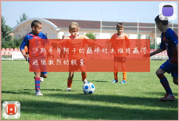 沙斯辛与阿卡的巅峰对决谁将赢得这场激烈的较量