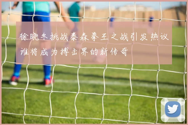 徐晓冬挑战泰森拳王之战引发热议谁将成为搏击界的新传奇