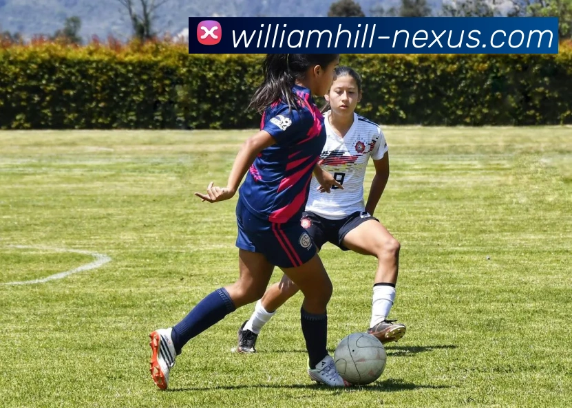 威廉希尔全站App